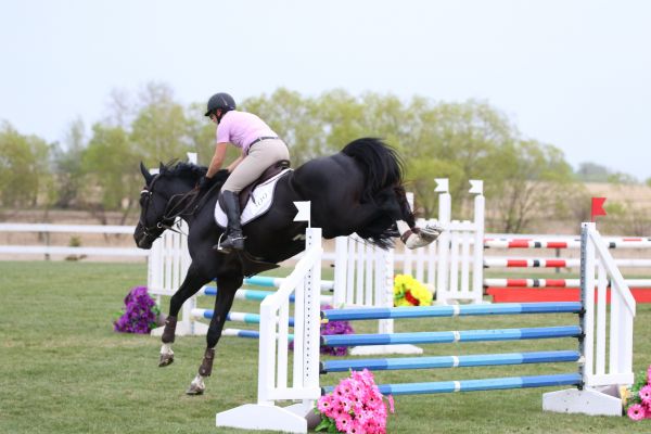 jethroedmontonclassichindend193BDFBCFE-7DFA-D8E2-D5BD-B58AA68716F5.jpg