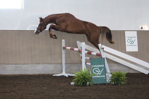 oppenheimer-jump55A9D1F3-BF9B-5ED9-1C9B-A2BC35A12BD9.jpg
